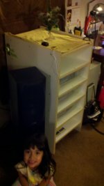 2010-11-27_20-59-12_345.jpg