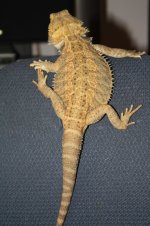 IMG_9452.jpg