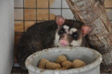 DSC_0205.jpg