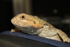 IMG_9453.jpg