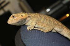 IMG_9455.jpg