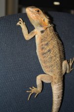 IMG_9461.jpg