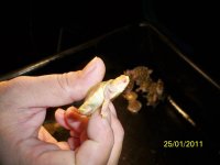 100_0609.jpg