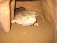 IMG_2986.jpg