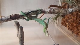 20170626_215923.jpg