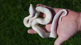 20170514_113108.jpg