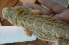 20160817_171548.jpg