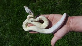 20170514_114158.jpg