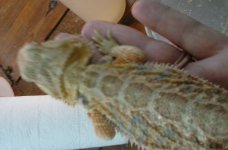 20160817_171545.jpg