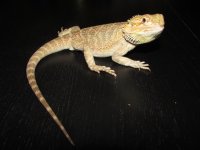 IMG_7422.JPG