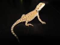 IMG_7428.JPG