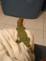IMG_20170505_003534.jpg