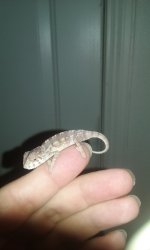 Baby1.jpg