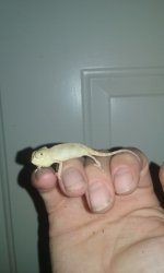 Baby2.jpg