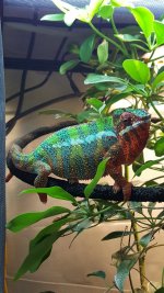 IMG_0032.JPG
