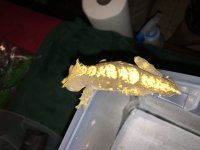 IMG_1874.jpg