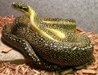 IMG_5363.jpg