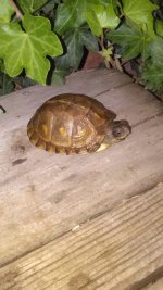 IMG_20170505_193920.jpg