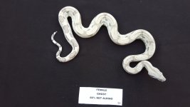 20170625_193756.jpg