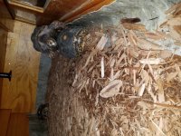 20170505_183820.jpg