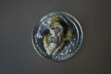 DSCF6843.jpg