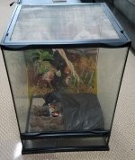 20170719_072041.jpg