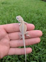 IMG_20170514_081732.jpg