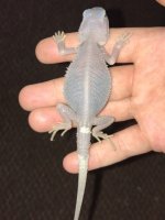 IMG_0516.jpg