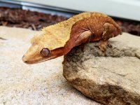 20170518_145154.jpg