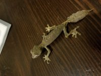 20170910_224222.jpg