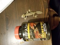 20170910_224212.jpg