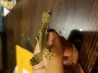20170910_224421.jpg