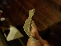 20170910_224533.jpg