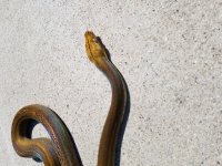 20170910_120834.jpg