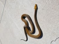 20170910_120829.jpg