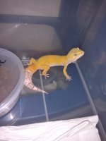 IMG_20170818_002255.jpg