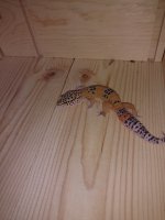 IMG_20170817_191318.jpg