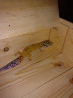 IMG_20170817_185441.jpg