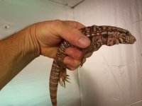 20170717_194756.jpg