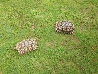 IMG_1179.jpg