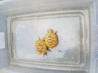 20170725_095551.jpg
