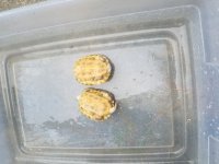 20170725_095603.jpg