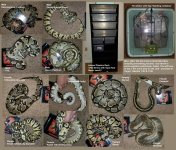 snakes.jpg