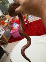 IMG_2258.jpg