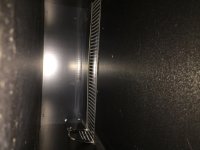 IMG_4245.jpg