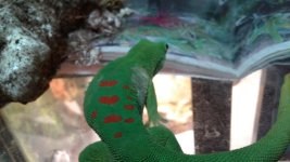 20170515_102525.jpg
