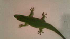 20170514_110827.jpg