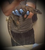 20170617_130854.jpg
