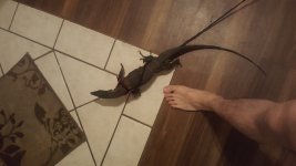 20170710_205833.jpg