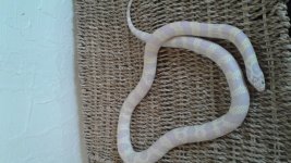 20170313_092840.jpg